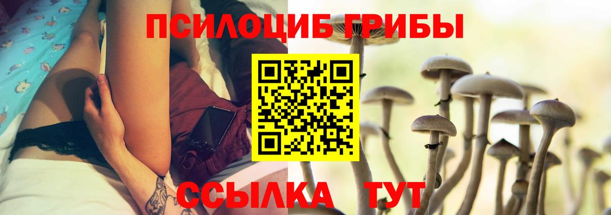 Михайловка  Галлюциногенные грибы MAGIC MUSHROOMS  Вход с VPN  Галлюциногенные грибы GOLDEN TEACHER 